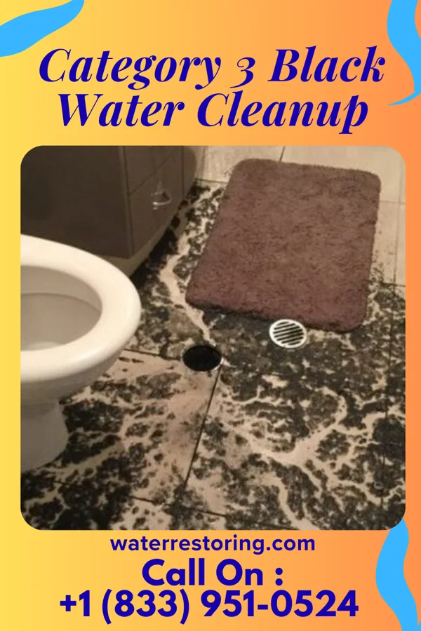 Category 3 Black Water Cleanup in Killington Village, VT